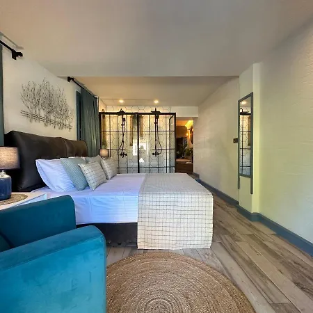 호텔 Old Town 페티예